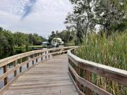 Boardwalk along waterway with waterbird resting on the rail , grasses along the far right