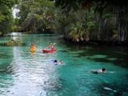 Kayakers and snorkelers enjoying the clear water of the Three Sisters Springs.