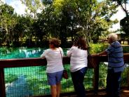 Three boardwalk patrons rest on the railing while gazing at the vibrant blue water of the Three Sisters Springs.