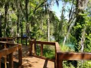 A wooden boardwalk surrounded by trees and shade, overlooks the Three Sisters Springs.