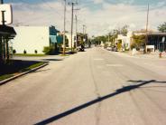 Citrus Avenue 1995