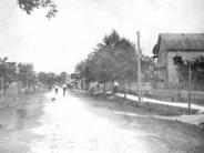 Citrus Avenue  1890
