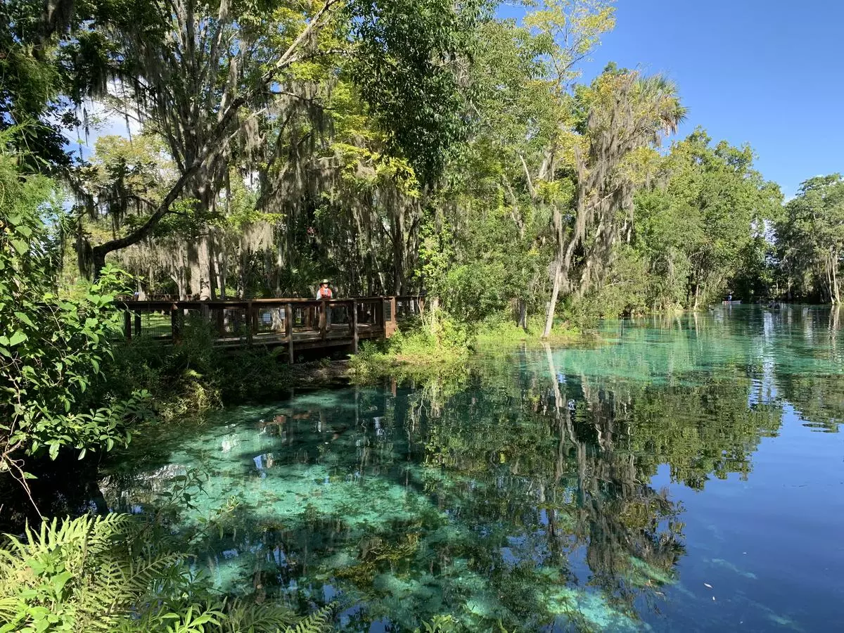 Three Sisters Springs view from Boardwalk