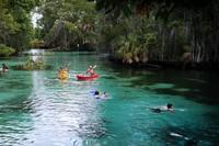 Kayakers and snorkelers enjoying the clear water of the Three Sisters Springs.