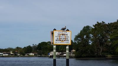 Manatee zone posting for 25 mph sign 