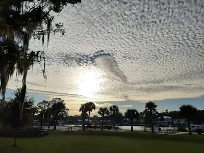 bright early morning sun over the park with rows of clouds 