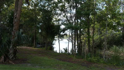 clear opening in foreground with trees along the water bank, water in central background