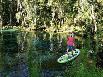 A lone paddle boarder navigates the shaded springs