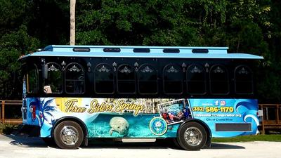 A trolley in profile