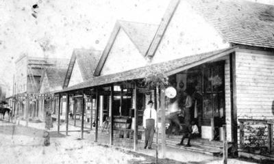 Citrus Avenue 1900's