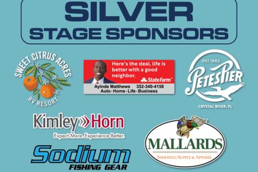 Silver Sponsor